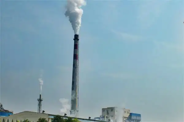 未验先投、未配套leyu乐鱼web登录入口!污染环境，两企分别被罚20万